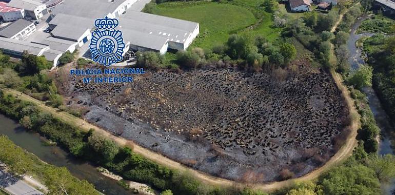 El presunto autor del incendio que arrasó 1,2 hectáreas en Lugones ya está detenido