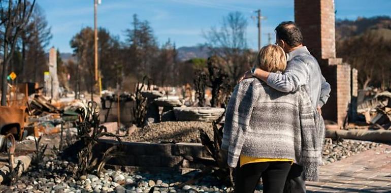 Se inician los trabajos de recuperación de zonas afectadas por los incendios de abril