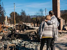 Se inician los trabajos de recuperación de zonas afectadas por los incendios de abril