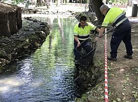 Finaliza la renovación del estanque del Parque de Ferrera 