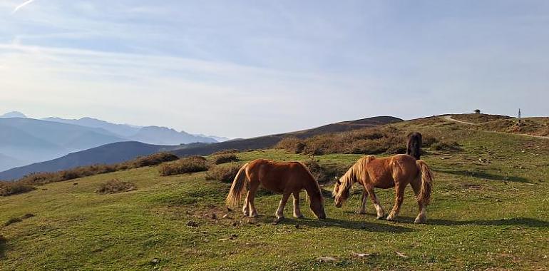 Navelgas celebra el Día de los Pueblos de Asturias