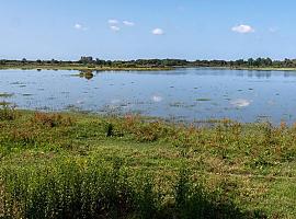 Doñana podría entrar en la Lista del Patrimonio Mundial en Peligro