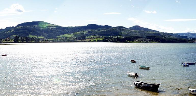 1,5 millones para el plan de recuperación de humedales y porreos en la Reserva Natural Parcial de la Ría de Villaviciosa