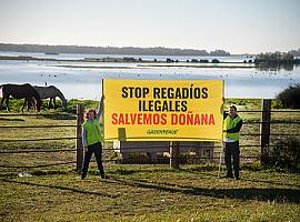 Regadíos ilegales que la Junta de Andalucía y el Gobierno deben erradicar si pretenden diseñar un plan creíble para salvar Doñana