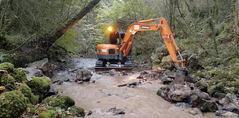 La Confederación Hidrográfica del Cantábrico restablece la conexión longitudinal de múltiples ríos en Asturias