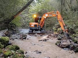 La Confederación Hidrográfica del Cantábrico restablece la conexión longitudinal de múltiples ríos en Asturias