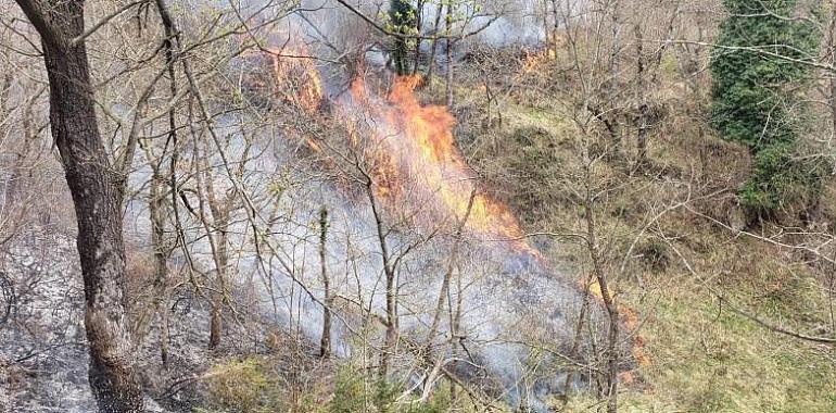 El Plan de Incendios de Asturias 2024: Un paso atrás para el ecologismo