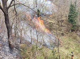 El Plan de Incendios de Asturias 2024: Un paso atrás para el ecologismo