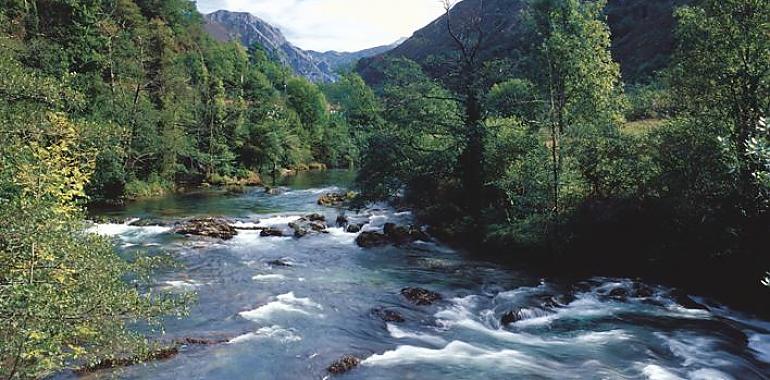 Medio Rural impone cupos de pesca para salvaguardar los salmónidos: 620 ejemplares bajo vigilancia en 2024