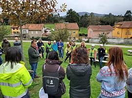 118 árboles autóctonos embellecen el Parque de El Alfaraz en Avilés gracias a una iniciativa de reforestación