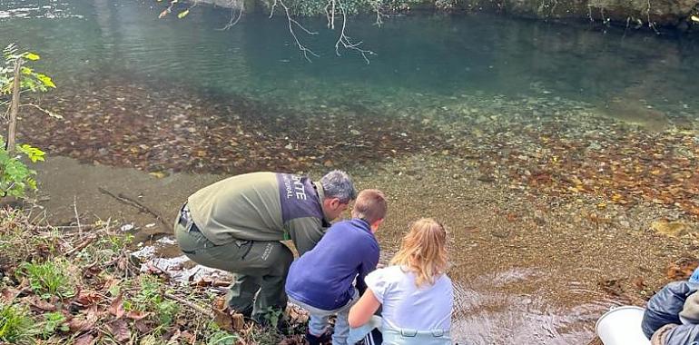 Repoblación de salmón en el Parque Natural de Somiedo con la suelta de 10.000 alevines