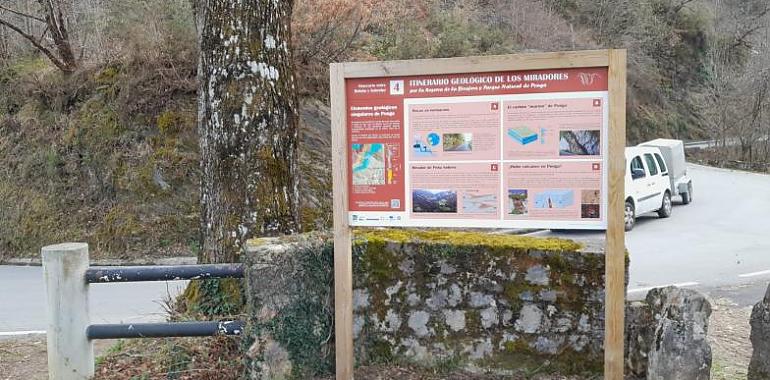 Ponga se renueva: 99.000 euros en proyectos de conservación y desarrollo sostenible