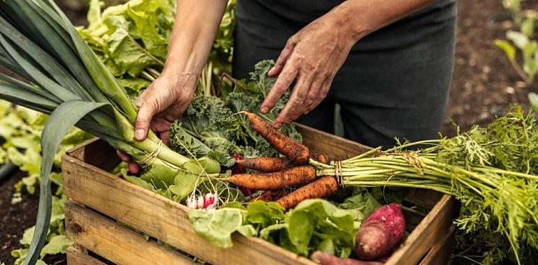 Ocho millones en ayudas para fortalecer el desarrollo de las empresas ligadas a la industria agroalimentaria y la tecnología forestal