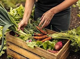 Ocho millones en ayudas para fortalecer el desarrollo de las empresas ligadas a la industria agroalimentaria y la tecnología forestal