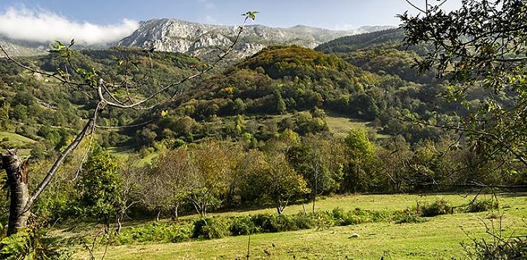 Inversiones que suman 1,3 millones en el Parque Natural y Reserva de la Biosfera de Las Ubiñas-La Mesa