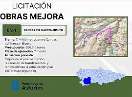 600.000 euros para la mejora de la carretera CN1, que une Cangas del Narcea y Bisuyu