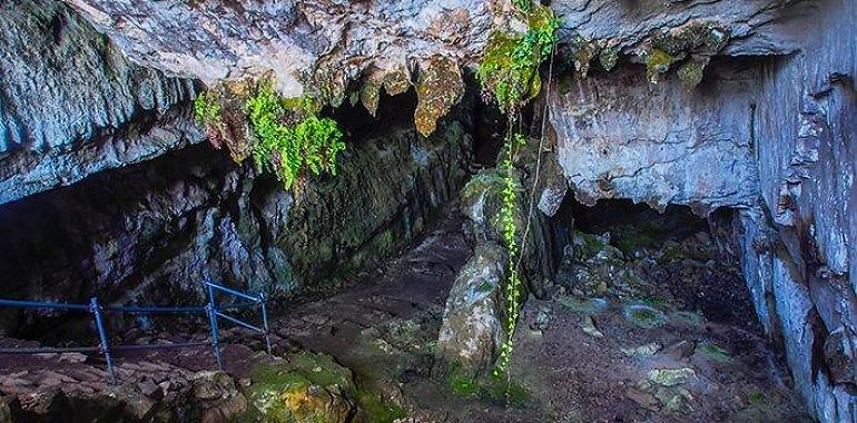 La Cueva de El Pindal reabre sus puertas: El Gobierno del Principado garantiza la seguridad de las visitas con nuevas medidas