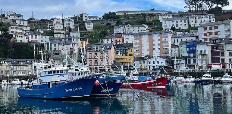 Modernización Mejora de competitividad en los puertos de El Porto/Viavélez, Luarca/L.luarca, Cudillero y Ribadesella/Ribeseya