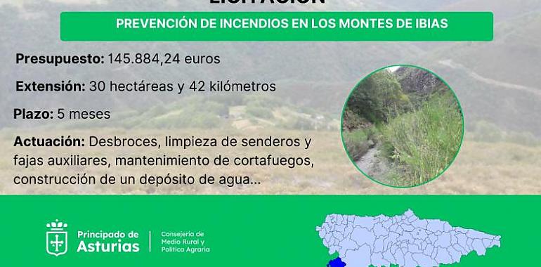 Inversión de 145.900 euros en la prevención de incendios en 26 montes vecinales de Ibias