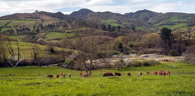 Se destaca el impacto esencial de los Fondos Europeos de la PAC para agricultores y ganaderos asturianos