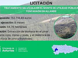 Inversión de 152.000 euros en tratamientos selvícolas en el Monte Fonfaraón para reducir riesgo de incendios