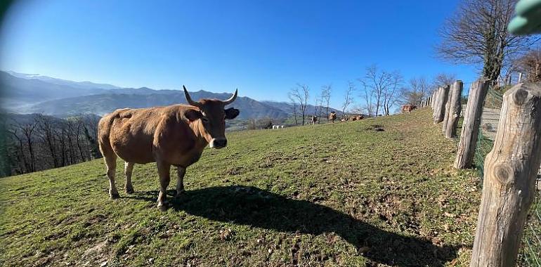 Inversión de 450.000 Euros en asesoramiento para 883 explotaciones agrarias