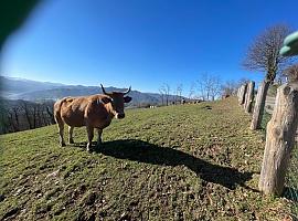 Inversión de 450.000 Euros en asesoramiento para 883 explotaciones agrarias