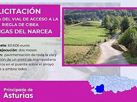 Proyecto de mejora del vial de acceso a Riegla de Cibea en Cangas del Narcea