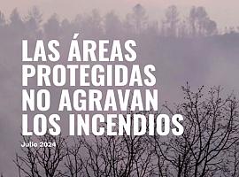 Desmontando mitos: Las áreas protegidas no agravan los incendios, afirma Greenpeace