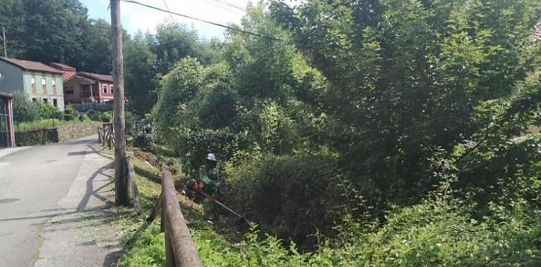 La Confederación Hidrográfica del Cantábrico y San Martín del Rey Aurelio unen fuerzas para revitalizar el Arroyo La Camperona