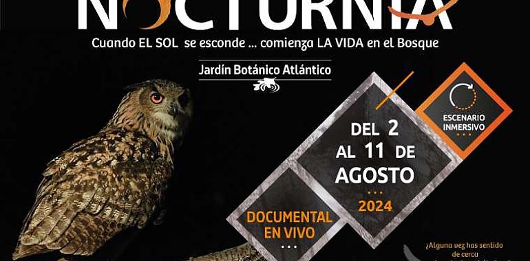 El Jardín Botánico de Gijón presenta a su nueva estrella en la XII edición de Nocturnia: el búho de anteojos