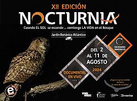 El Jardín Botánico de Gijón presenta a su nueva estrella en la XII edición de Nocturnia: el búho de anteojos