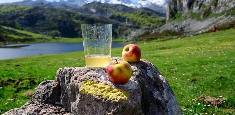 Agosto, el mes de la sidra en Asturias