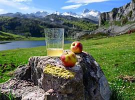 Agosto, el mes de la sidra en Asturias