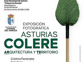 Cangas del Narcea acoge la exposición itinerante "Colere" del Centro Niemeyer hasta el 30 de agosto