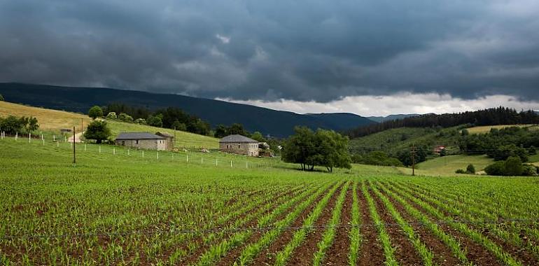 impulso al desarrollo rural con 12,9 millones de euros en ayudas del programa Leader para 418 proyectos