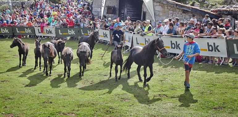 Explosión de festividades en Asturias: Un fin de semana lleno de tradiciones y celebraciones 