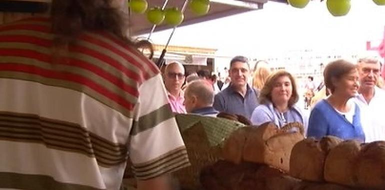 El Mercadín de la Sidra y la Manzana llena de tradición y sabor los Jardines de la Reina en la Fiesta de la Sidra Natural de Gijón