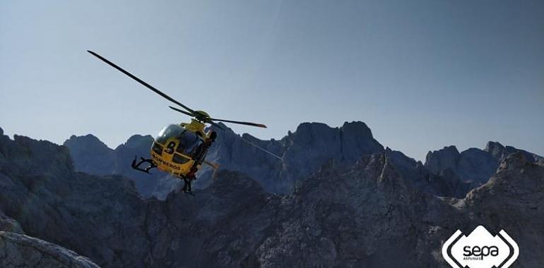 Tragedia en los Picos de Europa: Un árbol desencadena una avalancha mortal y desata un operativo de rescate con drones