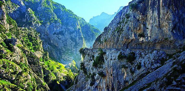 ¿Se está poniendo de moda la Montaña Asturiana ¿Quieres saber por qué