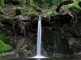 Impulsa a la recuperación ambiental de la cuenca del Río Güeña con una inversión de 427.000 euros