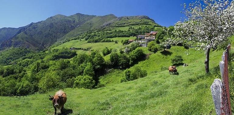 Inversión en Onís de 308.000 euros para agua y mejoras en los Picos de Europa