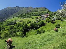 Inversión en Onís de 308.000 euros para agua y mejoras en los Picos de Europa