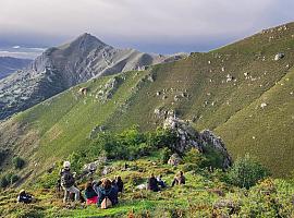 Comienza el espectáculo de la berrea en Aller: una experiencia natural única