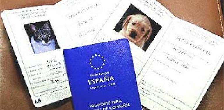 Iniciativa pol Asturianu reclama la inclusión del asturiano y eonaviego en el pasaporte de mascotas