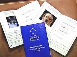 Iniciativa pol Asturianu reclama la inclusión del asturiano y eonaviego en el pasaporte de mascotas