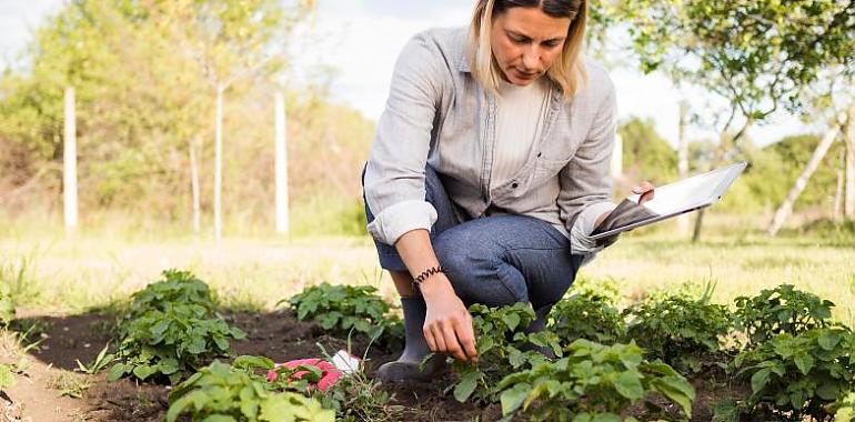 TPA estrena la sexta temporada de Yo Soy Rural, destacando las oportunidades emprendedoras en la Asturias rural