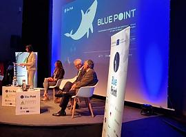 Impulso para las oportunidades empresariales a partir del reciclaje de plásticos marinos con el proyecto BluePoint