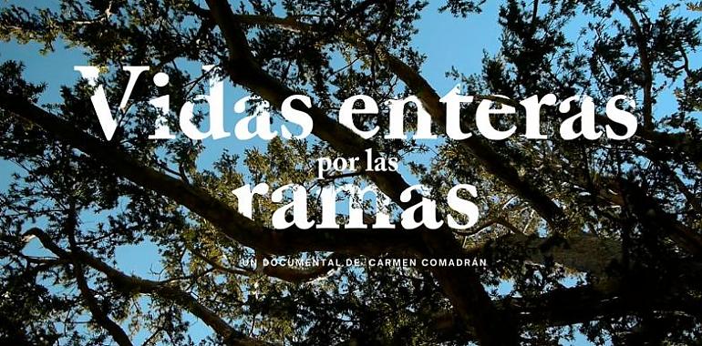 Patrimonio industrial y cine se dan la mano en el INCUNA Film Fest con el estreno de "Vidas enteras por las ramas"