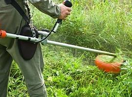 Limpieza y mantenimiento de caminos rurales: arranca la campaña de desbroce de otoño en Avilés